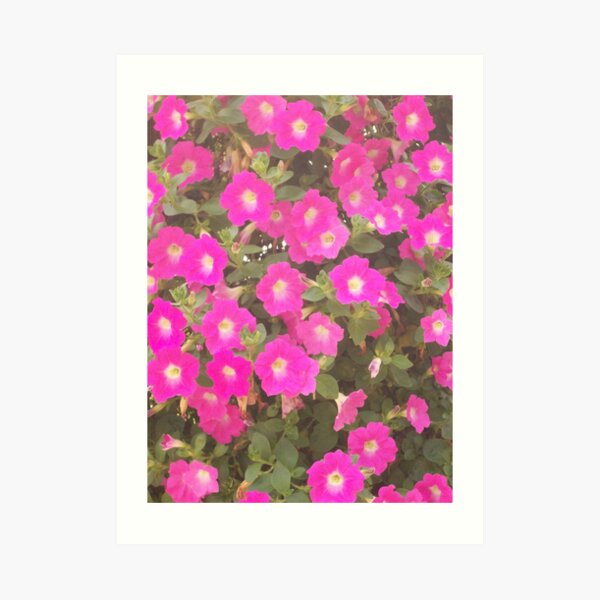 Neon Petunia Panic Art Print