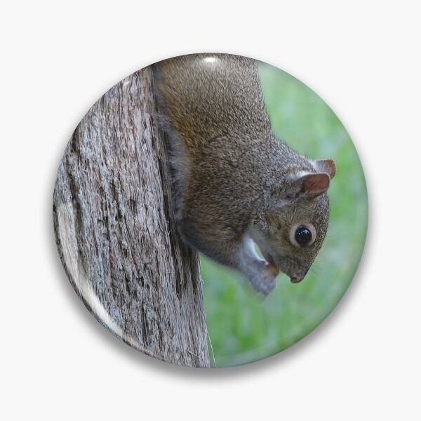 Item preview, Cute Squirrel #0094 designed and sold by Jeffrey Mask.
