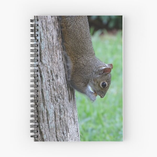 Item preview, Cute Squirrel #0094 designed and sold by Jeffrey Mask.