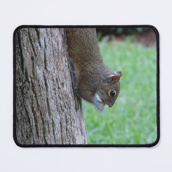 Item preview, Cute Squirrel #0094 designed and sold by Jeffrey Mask.