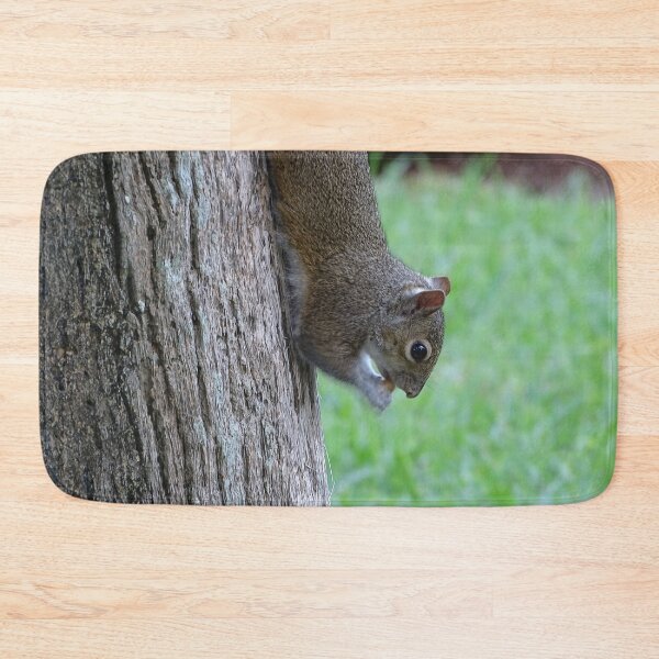 Item preview, Cute Squirrel #0094 designed and sold by Jeffrey Mask.