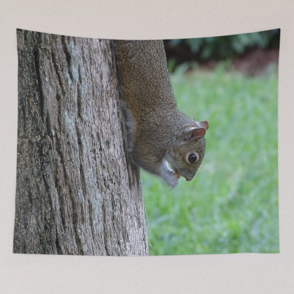 Item preview, Cute Squirrel #0094 designed and sold by Jeffrey Mask.