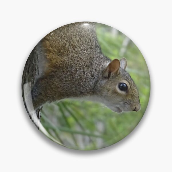 Item preview, Cute Squirrel #0095 designed and sold by Jeffrey Mask.