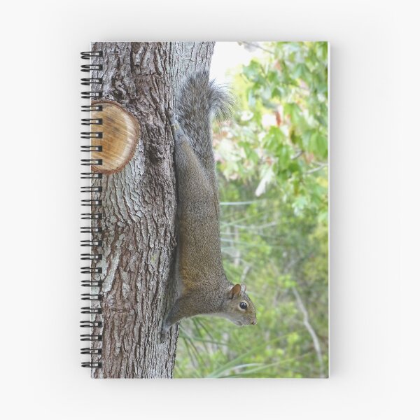Item preview, Cute Squirrel #0095 designed and sold by Jeffrey Mask.