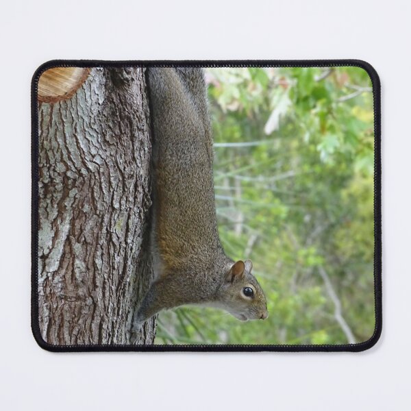 Item preview, Cute Squirrel #0095 designed and sold by Jeffrey Mask.