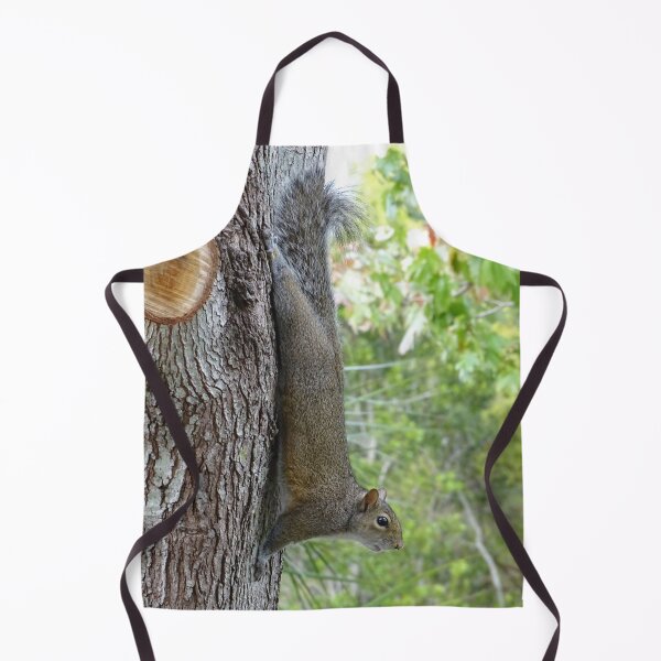 Item preview, Cute Squirrel #0095 designed and sold by Jeffrey Mask.