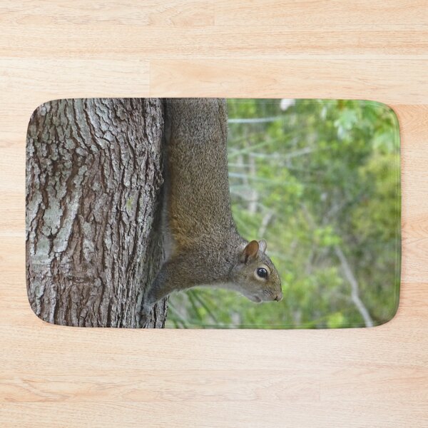 Item preview, Cute Squirrel #0095 designed and sold by Jeffrey Mask.