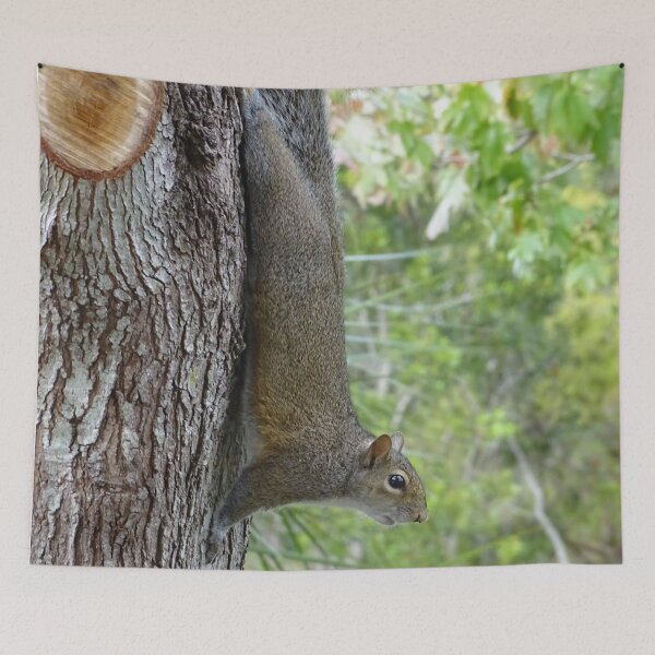 Item preview, Cute Squirrel #0095 designed and sold by Jeffrey Mask.