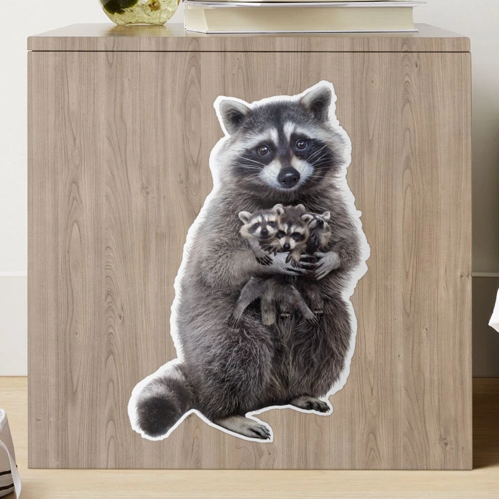 1 Cute Playful Baby Raccoon Stickers For Wall Fridge Toilet - Temu