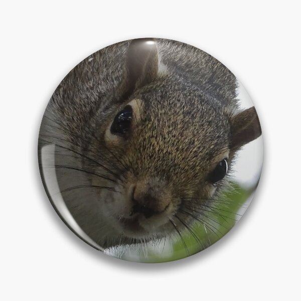 Item preview, Cute Squirrel #0096 designed and sold by Jeffrey Mask.
