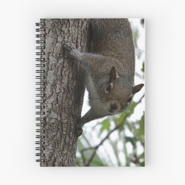 Item preview, Cute Squirrel #0096 designed and sold by Jeffrey Mask.