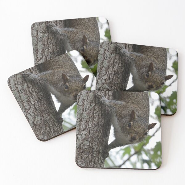 Item preview, Cute Squirrel #0096 designed and sold by Jeffrey Mask.