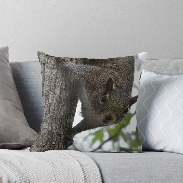 Item preview, Cute Squirrel #0096 designed and sold by Jeffrey Mask.