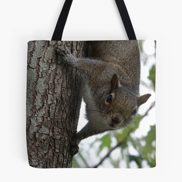 Item preview, Cute Squirrel #0096 designed and sold by Jeffrey Mask.