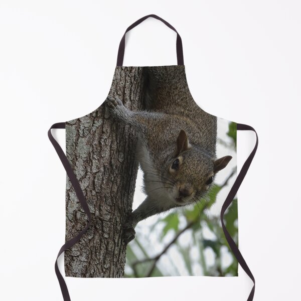 Item preview, Cute Squirrel #0096 designed and sold by Jeffrey Mask.