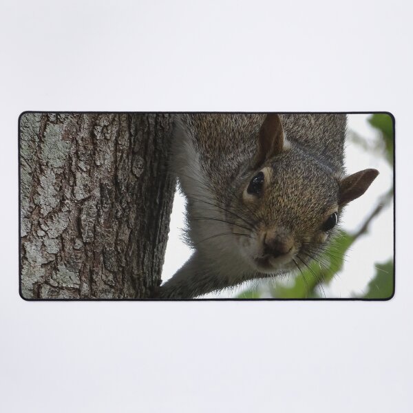 Item preview, Cute Squirrel #0096 designed and sold by Jeffrey Mask.