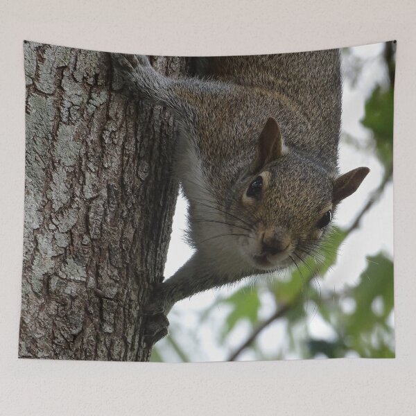 Item preview, Cute Squirrel #0096 designed and sold by Jeffrey Mask.