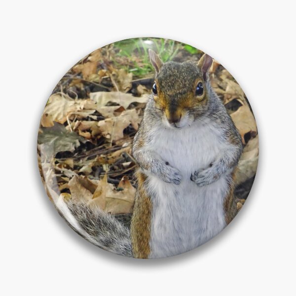 Item preview, Cute Squirrel #0097 designed and sold by Jeffrey Mask.