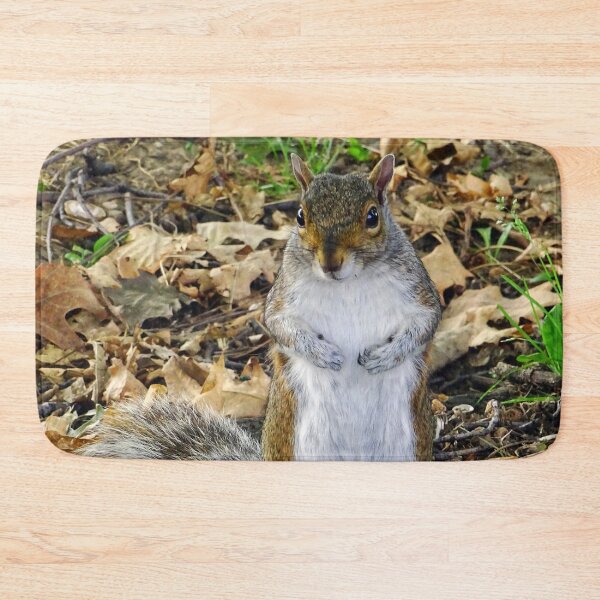 Item preview, Cute Squirrel #0097 designed and sold by Jeffrey Mask.