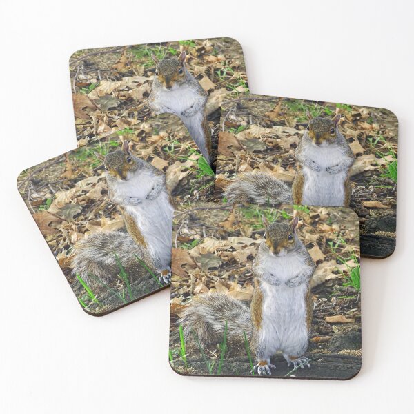Item preview, Cute Squirrel #0097 designed and sold by Jeffrey Mask.
