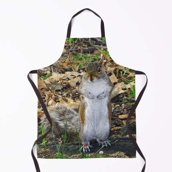 Item preview, Cute Squirrel #0097 designed and sold by Jeffrey Mask.