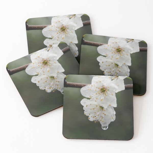 Item preview, Plum blossoms designed and sold by mistyrose.