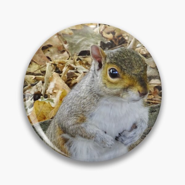 Item preview, Cute Squirrel #0098 designed and sold by Jeffrey Mask.