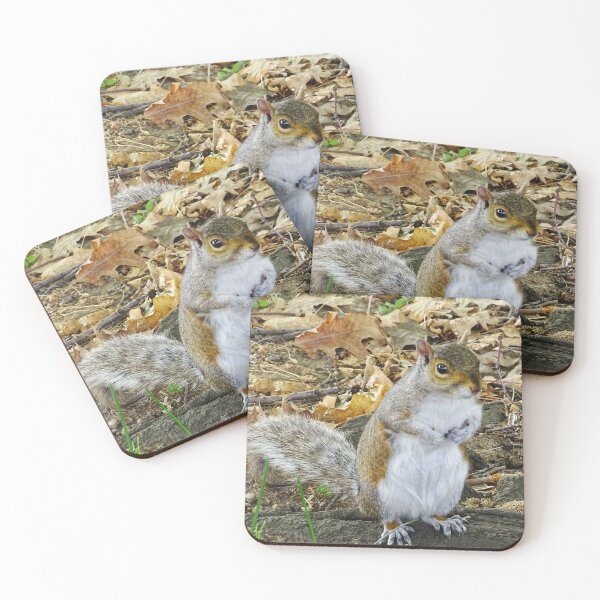 Item preview, Cute Squirrel #0098 designed and sold by Jeffrey Mask.