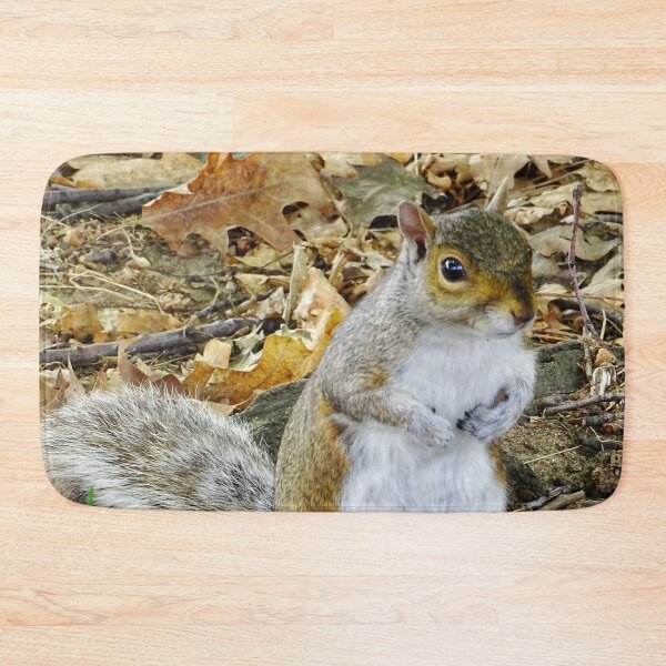 Item preview, Cute Squirrel #0098 designed and sold by Jeffrey Mask.
