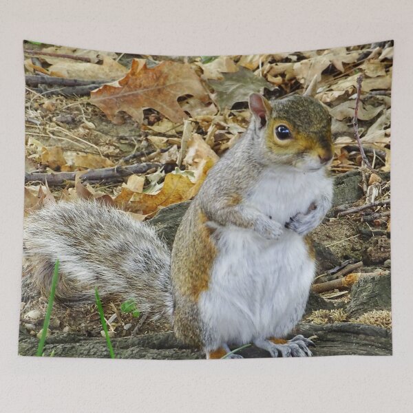 Item preview, Cute Squirrel #0098 designed and sold by Jeffrey Mask.