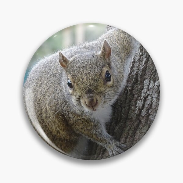 Item preview, Cute Squirrel #0099 designed and sold by Jeffrey Mask.