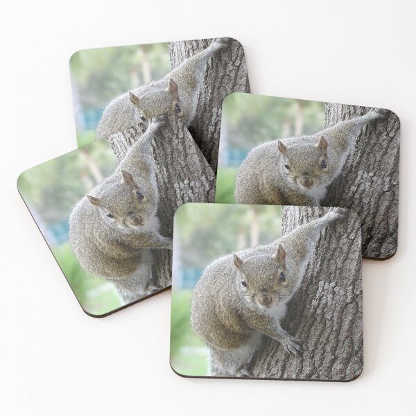 Item preview, Cute Squirrel #0099 designed and sold by Jeffrey Mask.