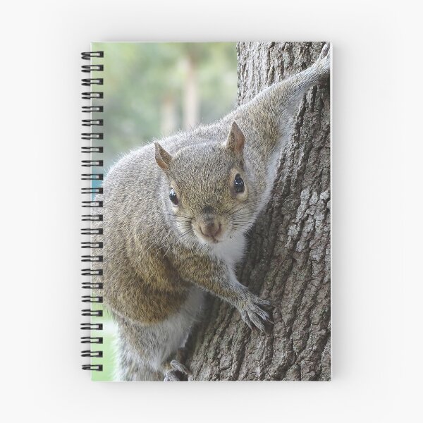 Item preview, Cute Squirrel #0099 designed and sold by Jeffrey Mask.
