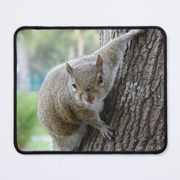 Item preview, Cute Squirrel #0099 designed and sold by Jeffrey Mask.