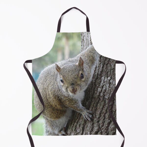 Item preview, Cute Squirrel #0099 designed and sold by Jeffrey Mask.