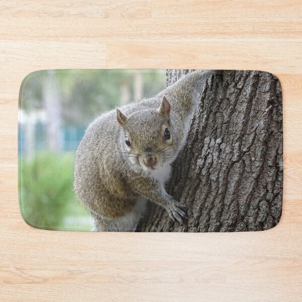 Item preview, Cute Squirrel #0099 designed and sold by Jeffrey Mask.