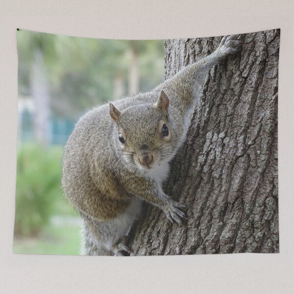 Item preview, Cute Squirrel #0099 designed and sold by Jeffrey Mask.