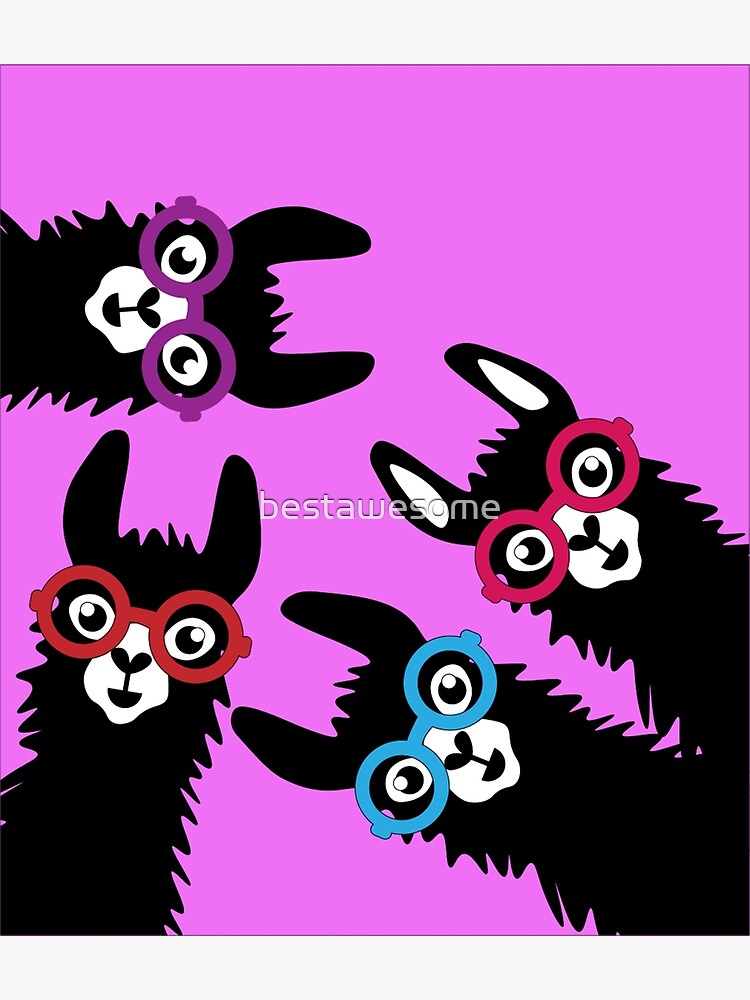 " Best Fun No Drama Llama South American Camelid Llama Drama Queens