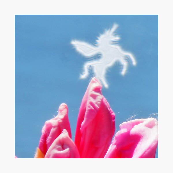 Emergence Photographic Print