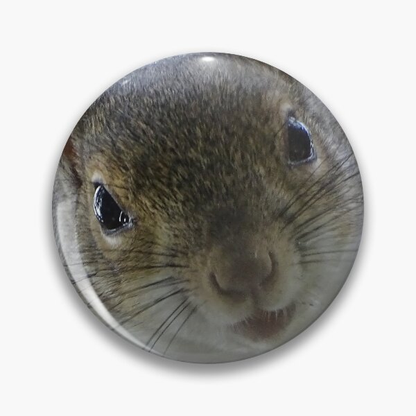 Item preview, Cute Squirrel #0100 designed and sold by Jeffrey Mask.