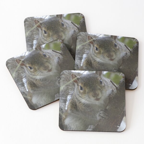 Item preview, Cute Squirrel #0100 designed and sold by Jeffrey Mask.
