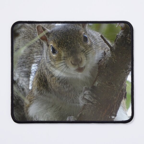 Item preview, Cute Squirrel #0100 designed and sold by Jeffrey Mask.