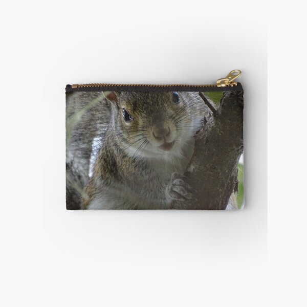 Item preview, Cute Squirrel #0100 designed and sold by Jeffrey Mask.