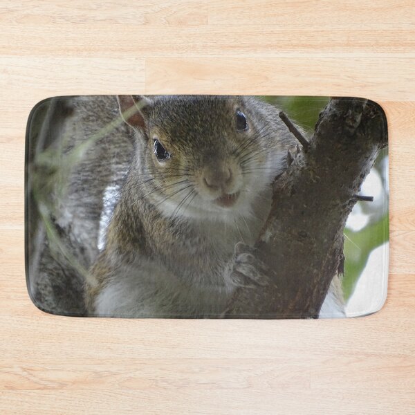 Item preview, Cute Squirrel #0100 designed and sold by Jeffrey Mask.