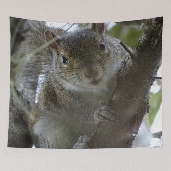 Item preview, Cute Squirrel #0100 designed and sold by Jeffrey Mask.