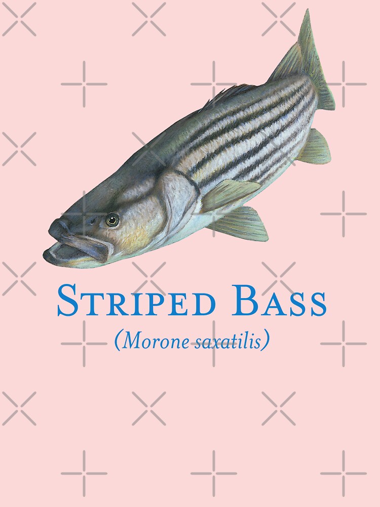 Striped Bass Fish Portrait Baby One-Piece for Sale by