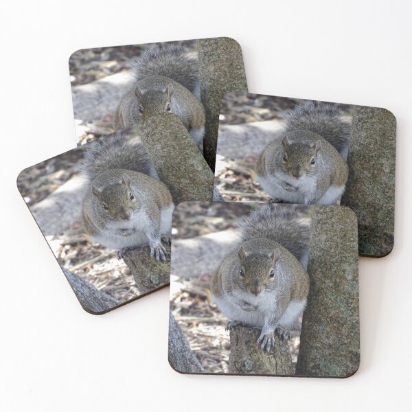 Item preview, Cute Squirrel #0101 designed and sold by Jeffrey Mask.