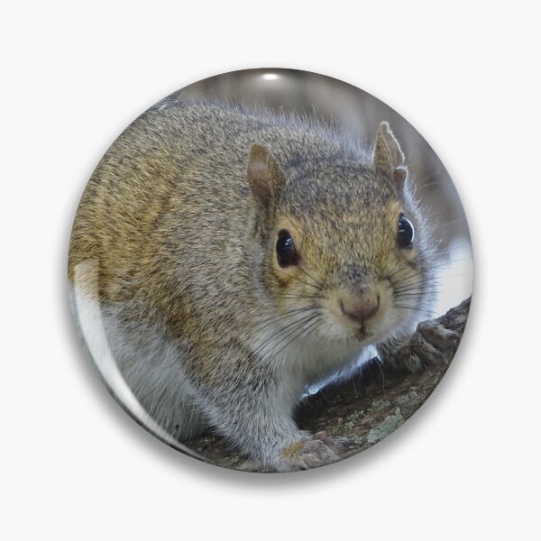 Item preview, Cute Squirrel #0102 designed and sold by Jeffrey Mask.