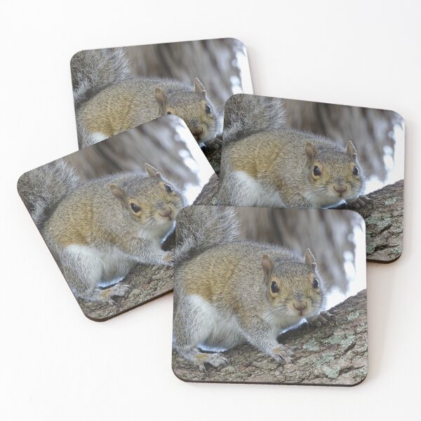 Item preview, Cute Squirrel #0102 designed and sold by Jeffrey Mask.