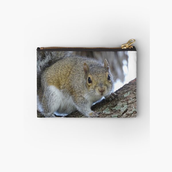 Item preview, Cute Squirrel #0102 designed and sold by Jeffrey Mask.